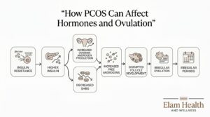 PCOS insulin resistance, androgen activity and irregular ovulation
